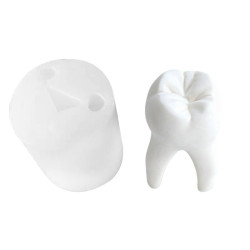 3D Large Tooth Silicone Mould