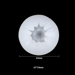 Daisy Chrysanthemum silicone mould