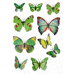 Cake Toppers on Icing sheet A5