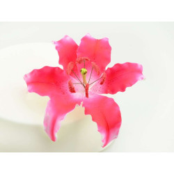 Dark Pink Lilly sugar flowers