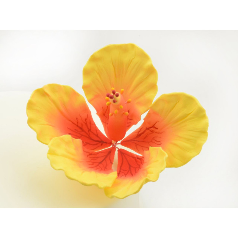 Hibiscus giant sugar flowers