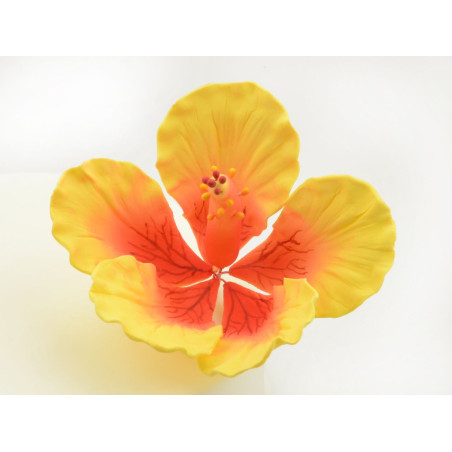 Hibiscus giant sugar flowers
