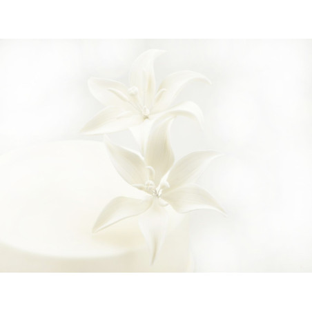 Tiger Lilly sugar flowers 2 parts