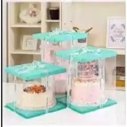 30x30x18 cm Transparent Cake Box