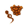 Hazelnut paste