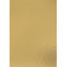 Golden - Silver Rectangle Cake Card 25x35cm