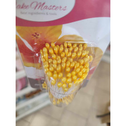 Flower Stamens Yellow set...