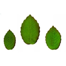 Rose leaves plunger cutter set of 3