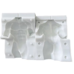 3D male torso mold
