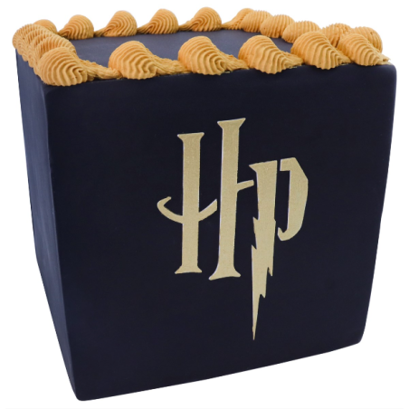 HARRY POTTER CAKE STENCIL, HP LOGO, LARGE