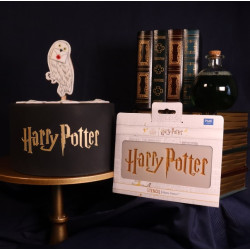 PME HARRY POTTER CAKE STENCIL