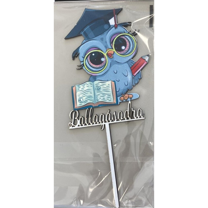 On Your Graduation Owl topper