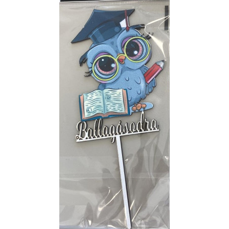 On Your Graduation Owl topper