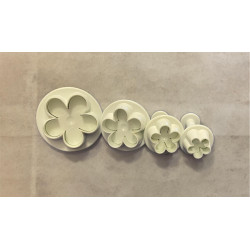 Flowers of 5 petals plunger...