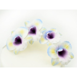 Coloured orchids sugar...