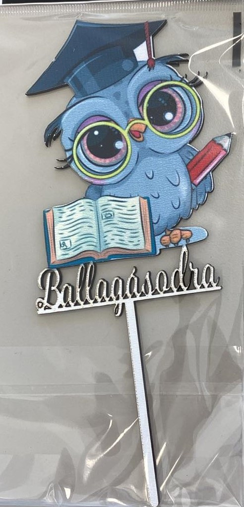 Ballagásodra Tudós Bagoly felirat beszúró